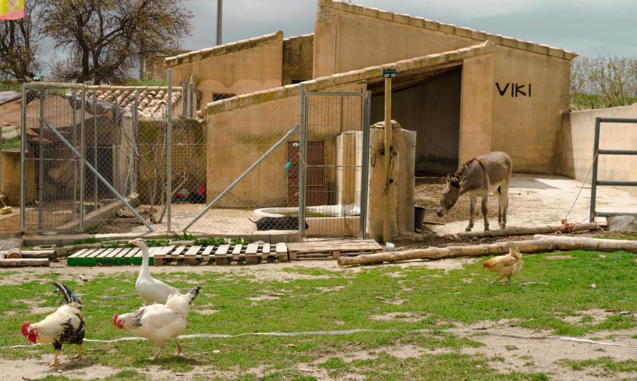 Aldea Los Odres - Cabanas De Madera De 1ª Con Piscina Privada Y Bbq En La Puerta Moratalla  Exteriör bild